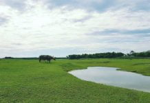 Bỏ trốn đến ốc đảo Vạn Buồng cùng kinh nghiệm du lịch phượt Đà Nẵng