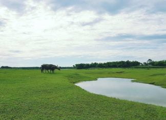 Bỏ trốn đến ốc đảo Vạn Buồng cùng kinh nghiệm du lịch phượt Đà Nẵng