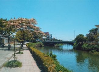 Kinh nghiệm du lịch Đà Nẵng tự túc với túi tiền mỏng tanh. Kinh nghiệm du lịch Đà Nẵng tự túc với túi tiền mỏng tanh.