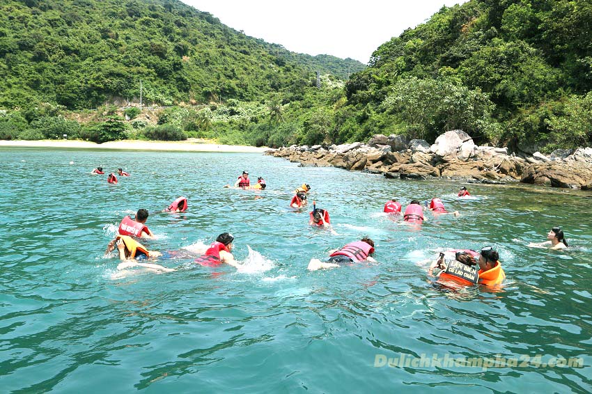  Lặn ngắm SAN HÔ du lịch Cù Lao Chàm