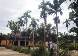 làng cổ Phong Nam Đà Nẵng