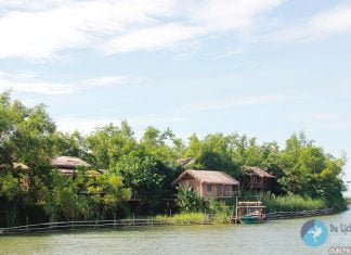 Ốc đảo xanh Triêm Tây