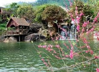 Khu sinh thái suối hoa - Điểm đến hấp dẫn không thể bỏ qua