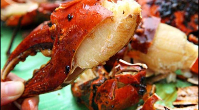 TOP 5 món ăn không thể bỏ qua khi đến Cù Lao Chàm