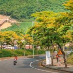 phương tiện di chuyển khi đi du lịch Bà Nà Hills