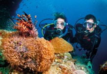 Những lí do khiến bạn không thể bỏ qua tour du lịch Cù Lao Chàm mùa hè