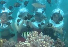 Những hoạt động thú vị bạn không nên bỏ qua khi đến Cù Lao Chàm