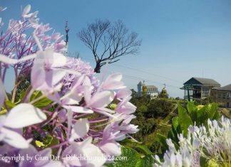 Vườn hoa Bà Nà Hill