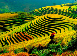 SAPA với những Điểm Cắm Trại đẹp mê mẩn!