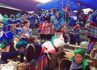 TOUR DU LỊCH SAPA 2 NGÀY 1 ĐÊM – THĂM CÁT CÁT, CHỢ BẮC HÀ!