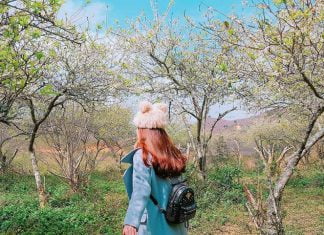 Du lịch Môc Châu 3 ngày 2 đêm