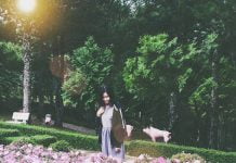 đồi mộng mơ đà lạt