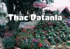 Thác Datanla Đà Lạt – điểm đến HOT nhất và đẹp nhất 2024