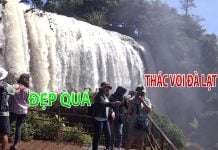 Thác Voi Đà Lạt