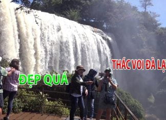 Thác Voi Đà Lạt