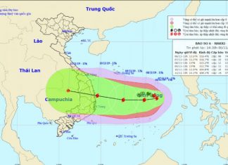 tour du lịch Cù Lao Chàm đi bộ dưới biển