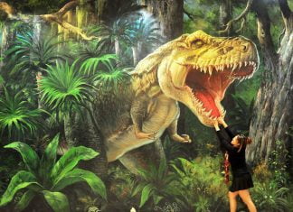 giá vé bảo tàng 3d Đà Nẵng