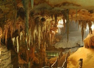 Thám hiểm Hang Dơi Mộc Châu – “Tây thiên đệ nhất động” của Tây Bắc Hang Dơi Mộc Châu