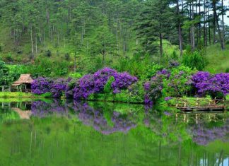 Làng Cù Lần Đà Lạt có gì hấp dẫn khách du lịch? làng cù lần đà lạt