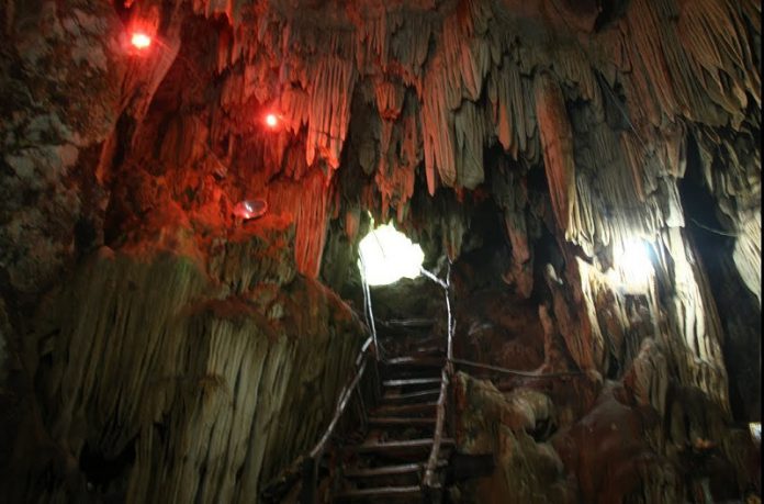 ngu dong ban on moc chau