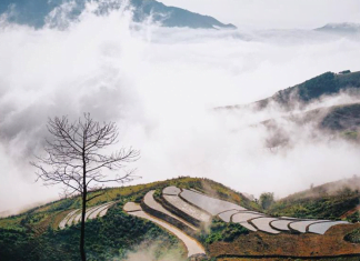 săn mây tà xùa sơn la