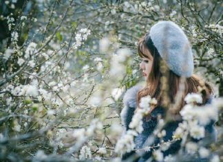 Lạc vào xứ sở thần tiên của thung lũng mận Nà Ka Mộc Châu thung lũng mận Nà Ka Mộc Châu