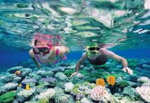 vé lặn ngắm san hô ở Cù Lao Chàm