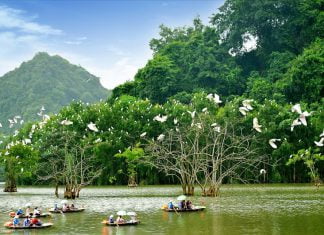 vườn chim Thung Nham Ninh Bình