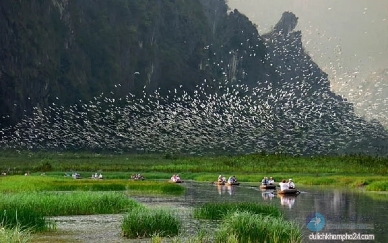 vườn chim Thung Nham Ninh Bình
