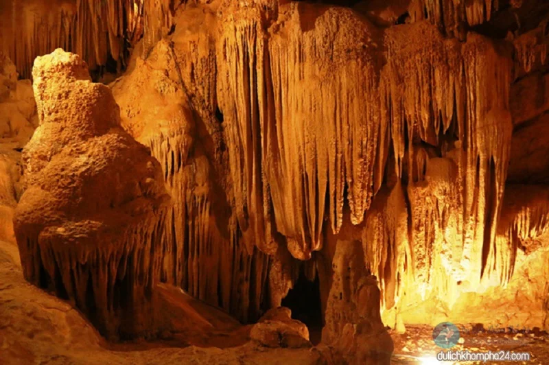 vườn chim Thung Nham Ninh Bình