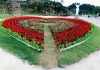 vườn hoa Love Garden Mộc Châu