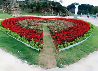 Check-in vườn hoa Love Garden Mộc Châu – xứ sở các loài hoa vườn hoa Love Garden Mộc Châu