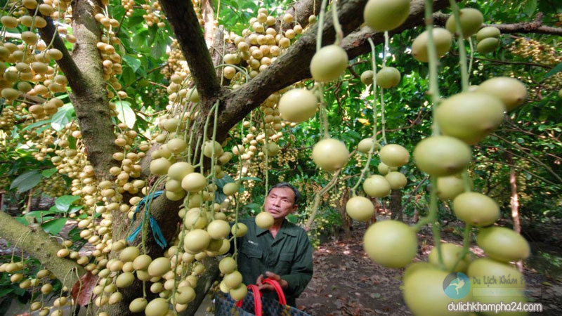 địa đạo Củ Chi