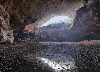 động én hà giang