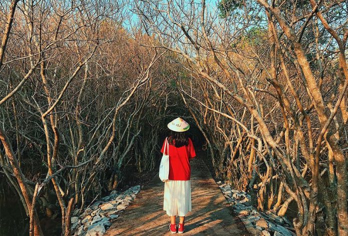 địa điểm check in sống ảo ở Huế