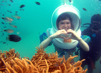 Tổng hợp câu hỏi hay gặp về tour du lịch Cù Lao Chàm đi bộ dưới biển Tour du lịch cù lao chàm đi bộ dưới biển