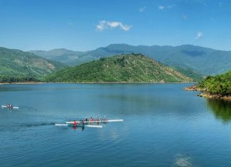 Đồng Xanh Đồng Nghệ Đà Nẵng