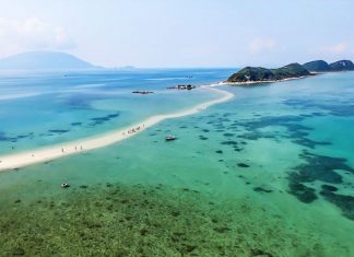 Kinh nghiệm du lịch đảo Điệp Sơn tự túc 2024 cập nhật mới nhất Kinh nghiệm du lịch đảo Điệp Sơn