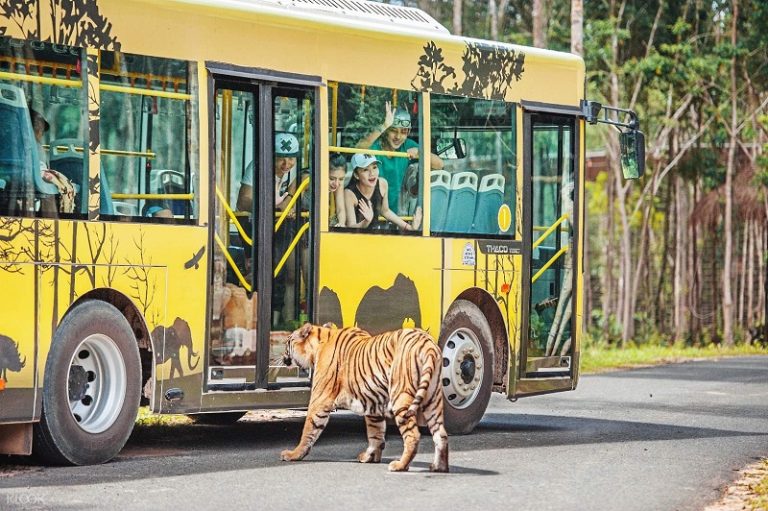Vườn thú Safari Phú Quốc có gì vui? Hướng dẫn mua vé