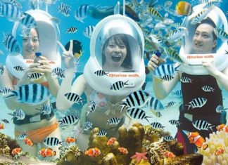 Tour du lịch cù lao chàm đi bộ dưới biển