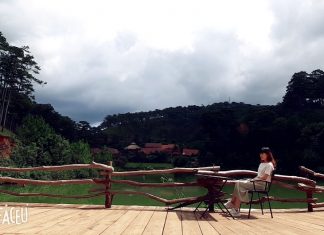 Nên đi du lịch Đà Lạt vào mùa nào