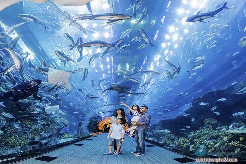 kinh nghiệm du lịch Vinpearl Land Nha Trang