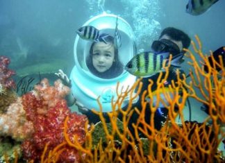 Tour du lịch Cù Lao Chàm đi bộ dưới biển