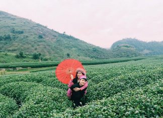 du lịch mộc châu vào tháng mấy