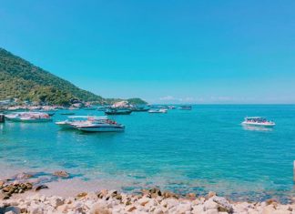 giá vé tham quan Cù Lao Chàm