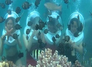 Đi bộ dưới biển ở tour du lịch Cù Lao Chàm