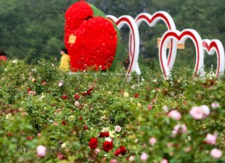 Thung lũng Hoa Hồng đẹp