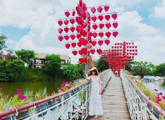 kinh nghiệm du lịch Bửu Long