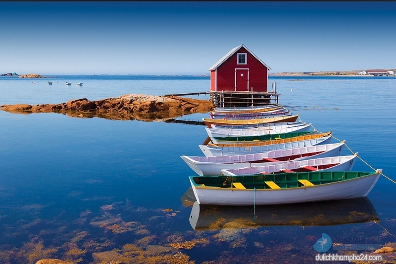 Đảo Fogo - Địa điểm du lịch nổi tiếng ở Canada