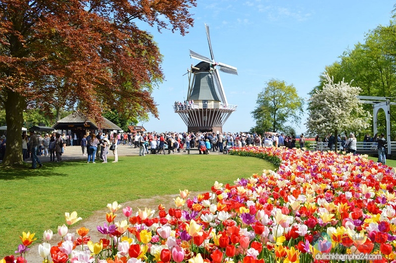 Lễ hội hoa Keukenhof ở Hà Lan